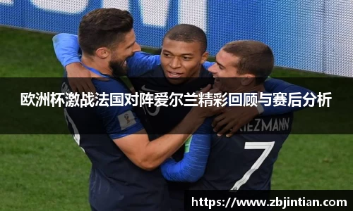 熊猫体育欧洲杯激战法国对阵爱尔兰精彩回顾与赛后分析